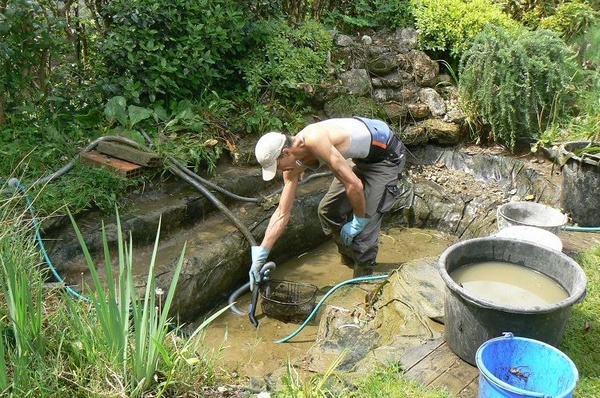 Nettoyage du bassin de jardin