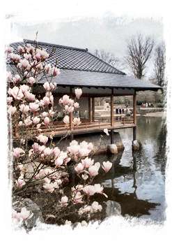 Jardin japonais d'Hasselt